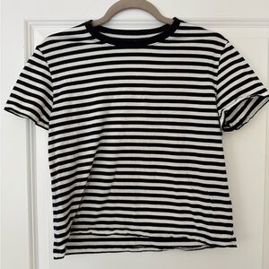 Everlane Striped Tee